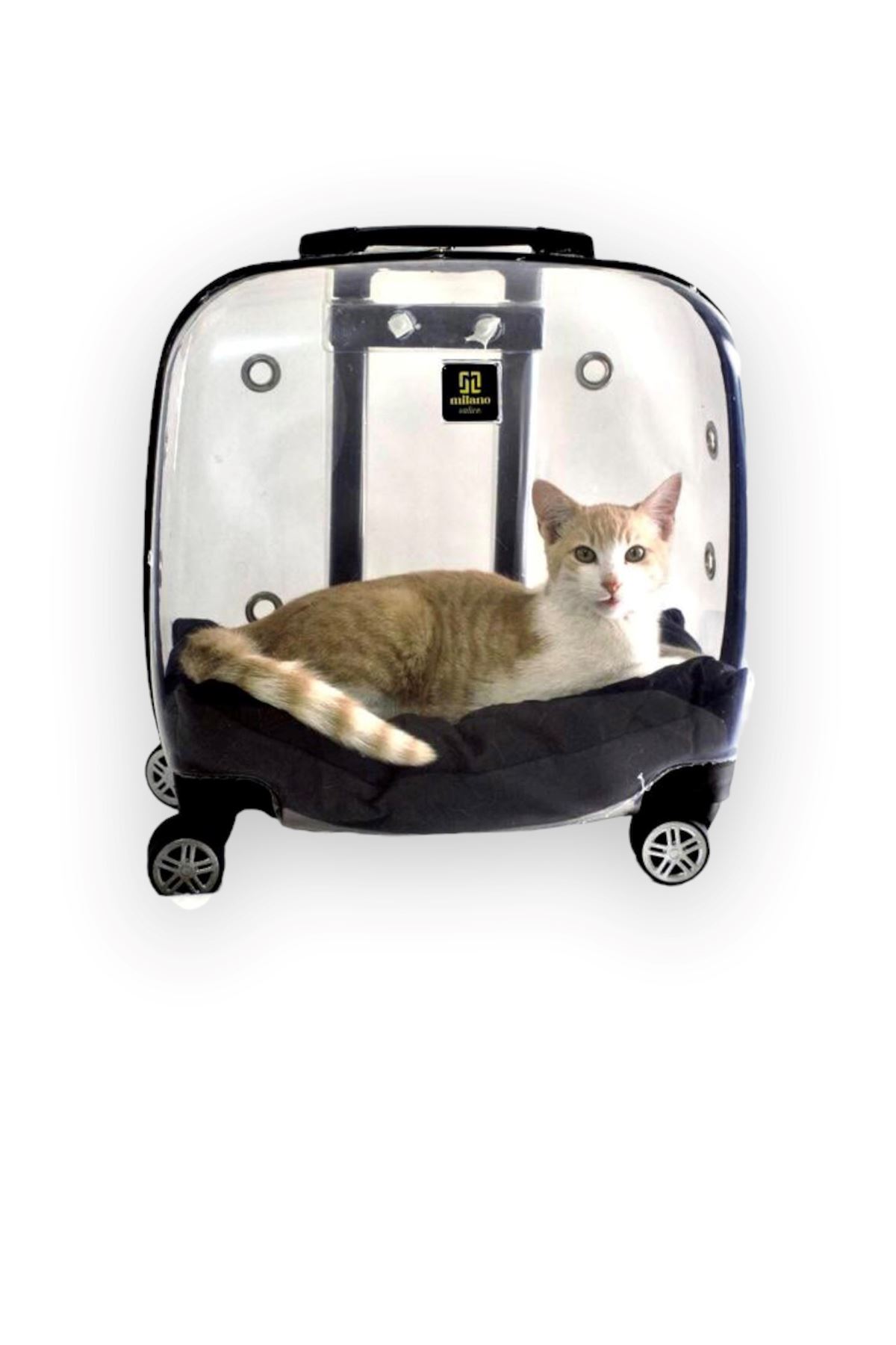 Bavul Şeklinde Kabin Boy 4 Tekerlekli Çekçekli Şeffaf Kedi Köpek Taşıma Çantası  44x24x42 cm